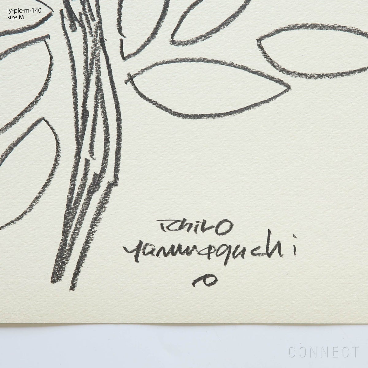 山口一郎 / Mサイズ / ゆずの花 / iy-pic-m-140