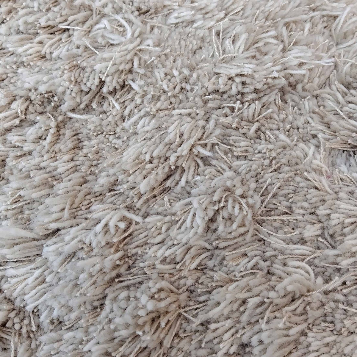 【アウトレット】KASTHALL（カスタール） / ALEGRAES（オーレグラス） / KALK 881（240×300cm） / ラグ《滑り止めプレゼント》