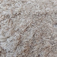 【アウトレット】KASTHALL（カスタール） / ALEGRAES（オーレグラス） / KALK 881（240×300cm） / ラグ《滑り止めプレゼント》