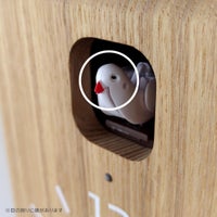 【アウトレット】Lemnos（レムノス） / cucup（ククップ） 鳩時計 ナチュラルタイプ【CONNECT別注品】 / ナチュラル