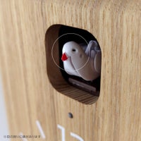 【アウトレット】Lemnos（レムノス） / cucup（ククップ） 鳩時計 ナチュラルタイプ【CONNECT別注品】 / ナチュラル