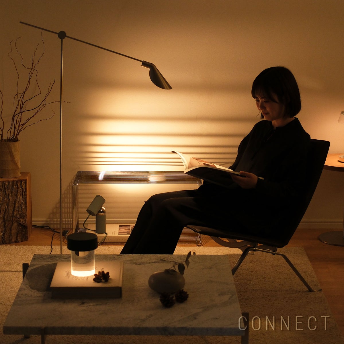 FRITZ HANSEN（フリッツ・ハンセン） / PK22（ピーケー22） ヘイズレザー / ダークブラウン / サテン仕上げステンレススチール