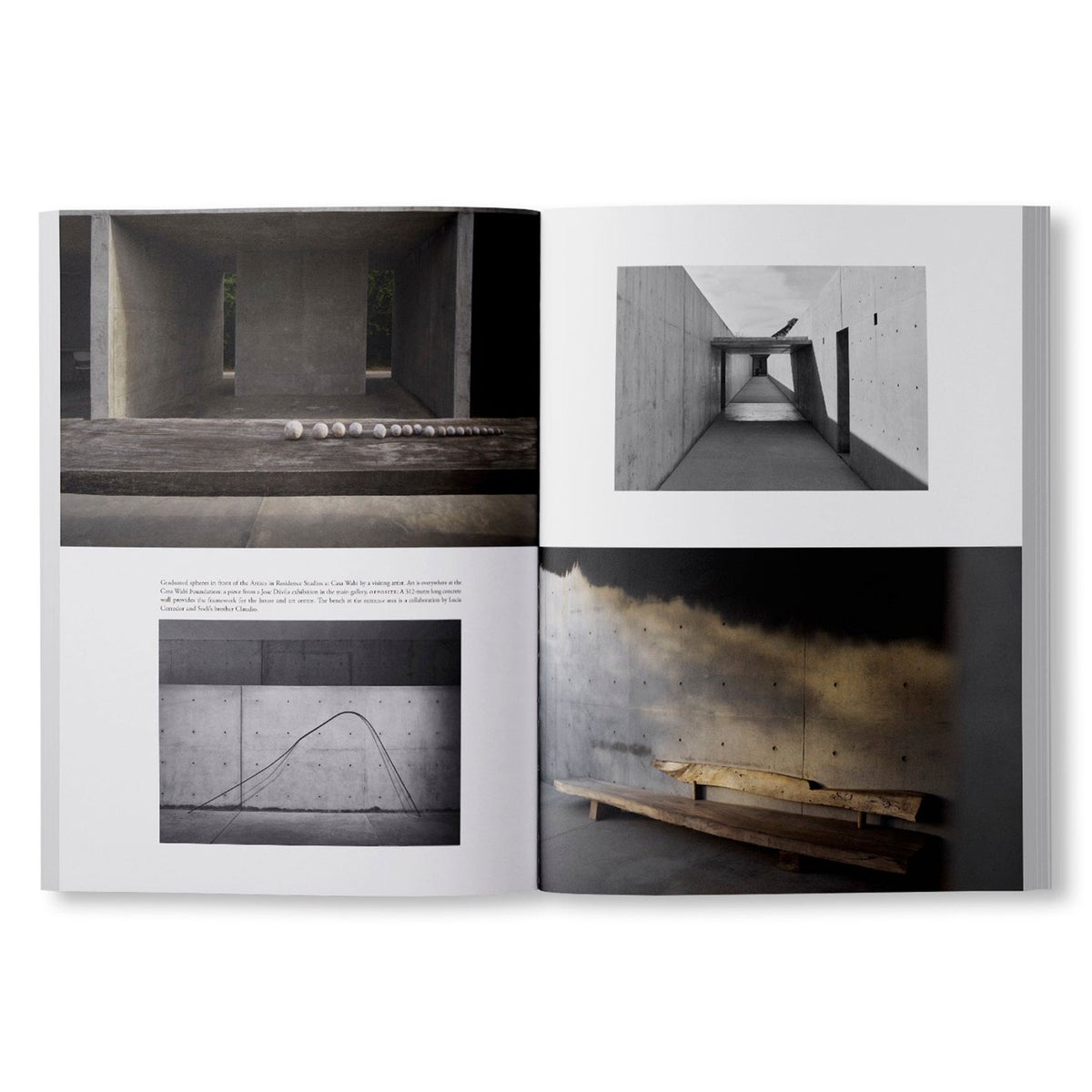 ARK JOURNAL（アーク ジャーナル） / VOLUME XIV AUTUMN/WINTER 2025/26 / COVER A / 洋書