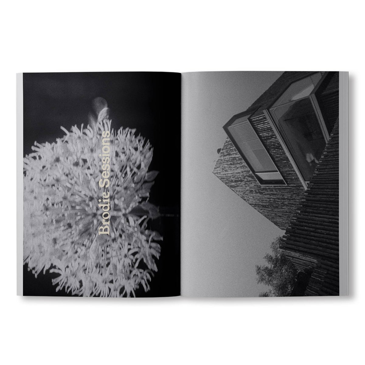 ARK JOURNAL（アーク ジャーナル） / VOLUME XIV AUTUMN/WINTER 2025/26 / COVER A / 洋雑誌