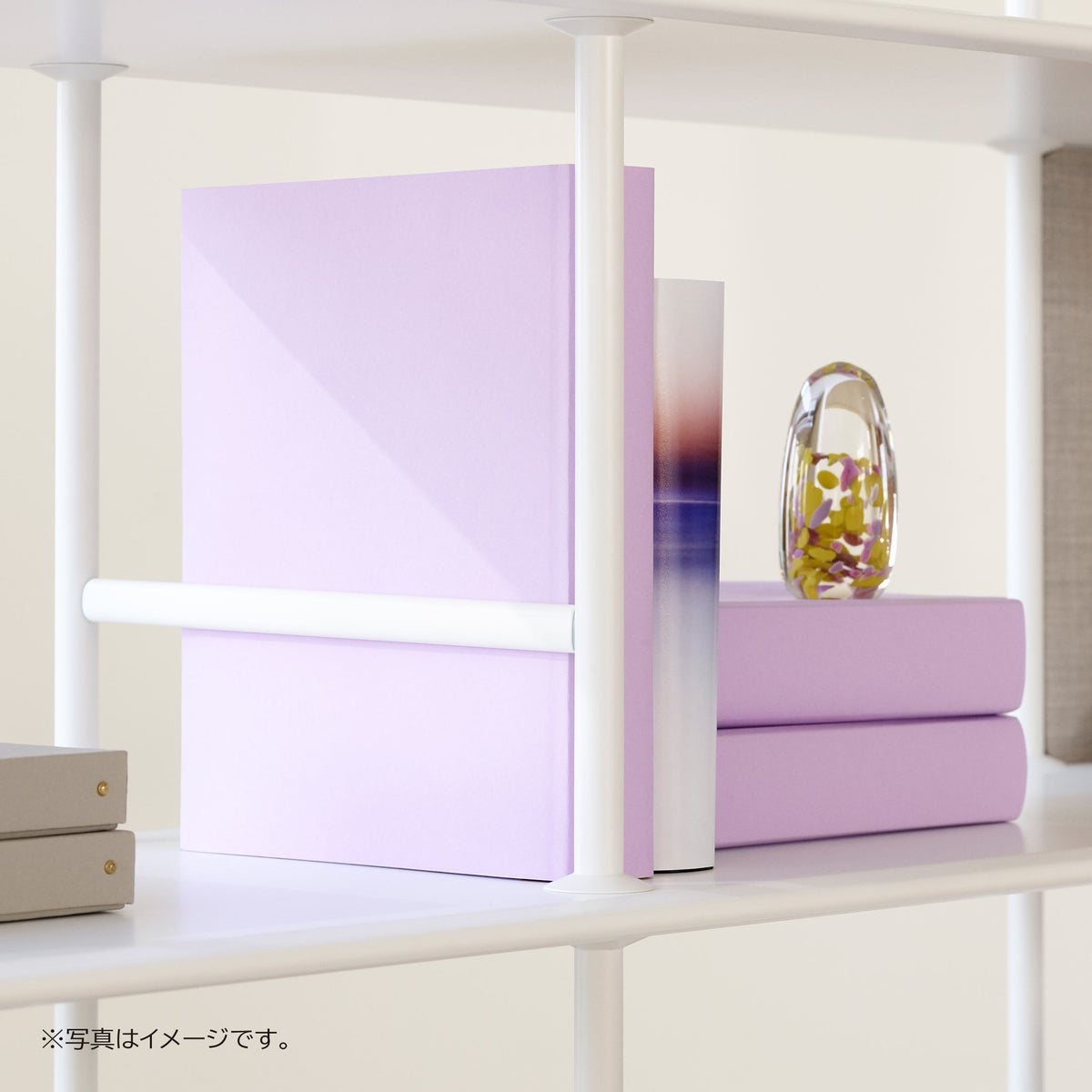 Montana（モンタナ） / Free（フリー）222000 / シェルフ / 214 New White x New White