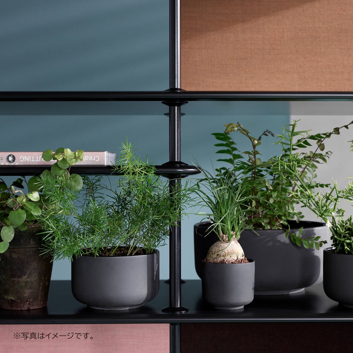 Montana（モンタナ） / Free（フリー）330000 / シェルフ / 207 Black x Black