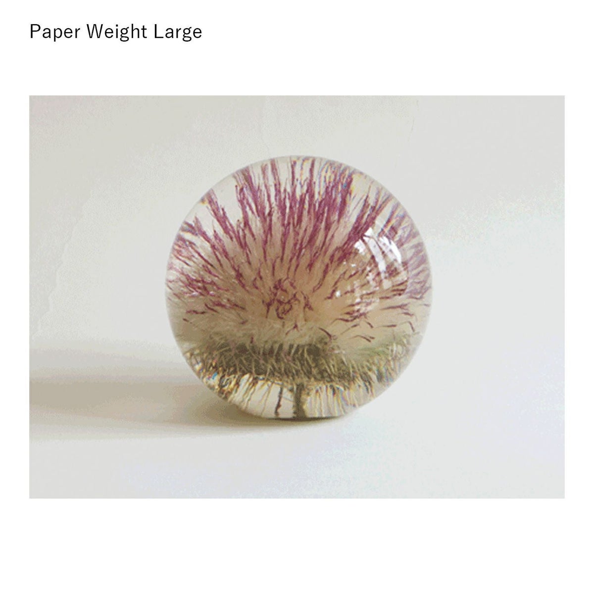 【アウトレット】HAFOD GRANGE（ハフォド・グレンジ） / Paper Weight（ペーパーウエイト） / Large