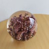 【アウトレット】HAFOD GRANGE（ハフォド・グレンジ） / Paper Weight（ペーパーウエイト） / Small / 全4色
