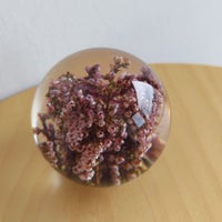 【アウトレット】HAFOD GRANGE（ハフォド・グレンジ） / Paper Weight（ペーパーウエイト） / Small / 全4色