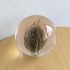 【アウトレット】HAFOD GRANGE（ハフォド・グレンジ） / Paper Weight（ペーパーウエイト） / Small / 全4色