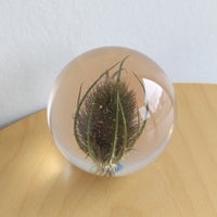 【アウトレット】HAFOD GRANGE（ハフォド・グレンジ） / Paper Weight（ペーパーウエイト） / Small / 全4色