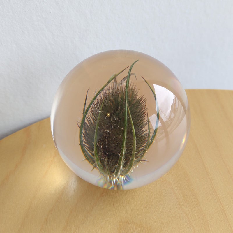 【アウトレット】HAFOD GRANGE（ハフォド・グレンジ） / Paper Weight（ペーパーウエイト） / Small / 全4色