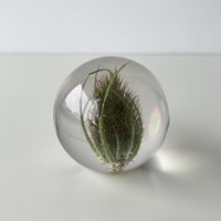 【アウトレット】HAFOD GRANGE（ハフォド・グレンジ） / Paper Weight（ペーパーウエイト） / Small / 全4色
