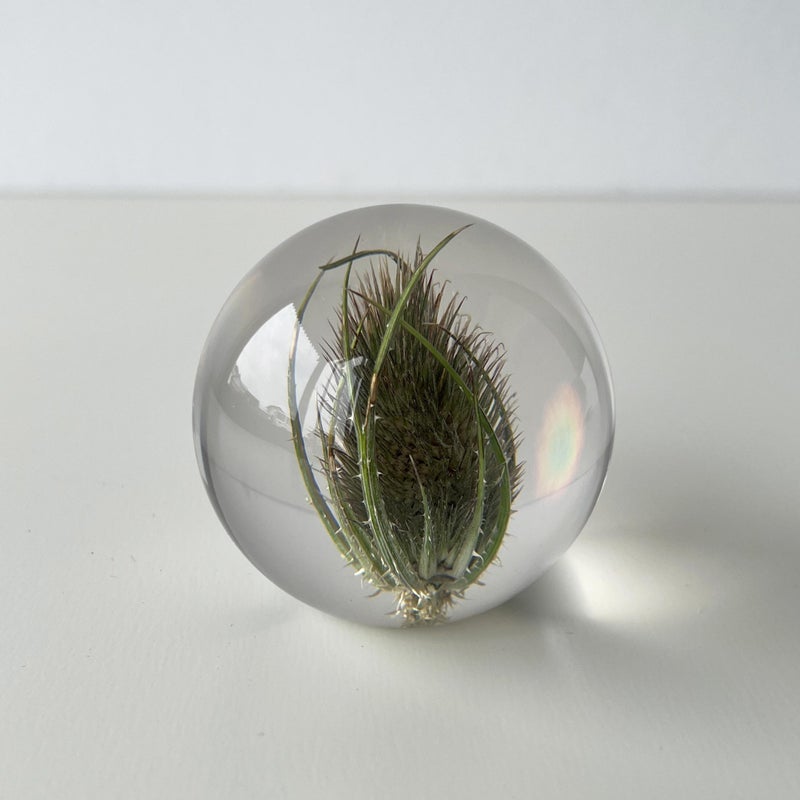 【アウトレット】HAFOD GRANGE（ハフォド・グレンジ） / Paper Weight（ペーパーウエイト） / Small / 全4色