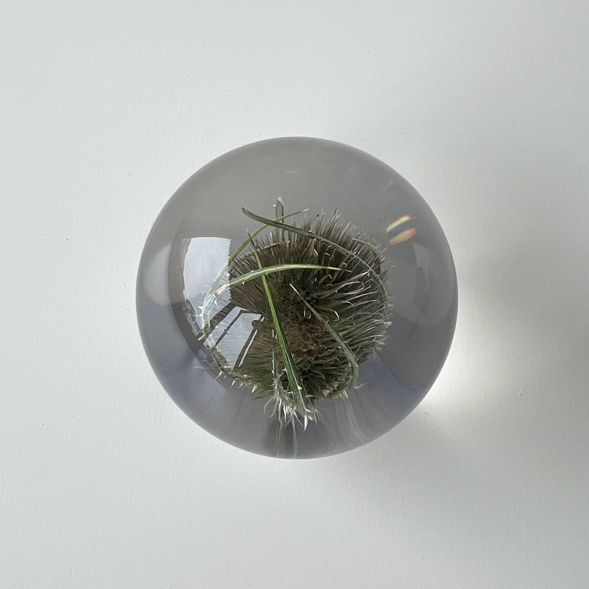 【アウトレット】HAFOD GRANGE（ハフォド・グレンジ） / Paper Weight（ペーパーウエイト） / Small / 全4色