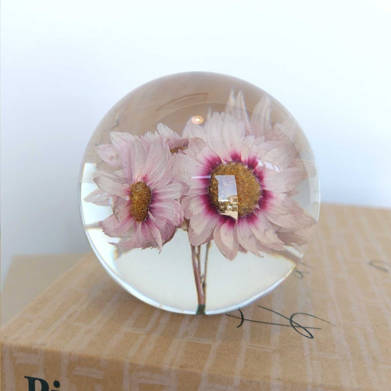 【アウトレット】HAFOD GRANGE（ハフォド・グレンジ） / Paper Weight（ペーパーウエイト） / Small / 全4色