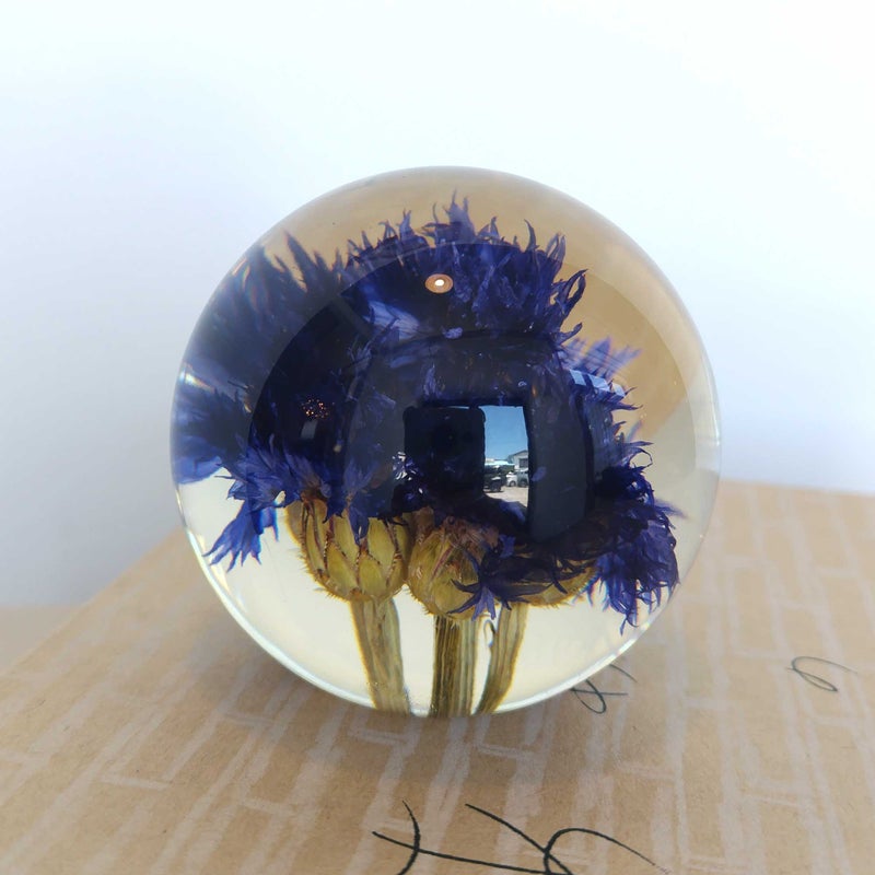 【アウトレット】HAFOD GRANGE（ハフォド・グレンジ） / Paper Weight（ペーパーウエイト） / Small / 全4色