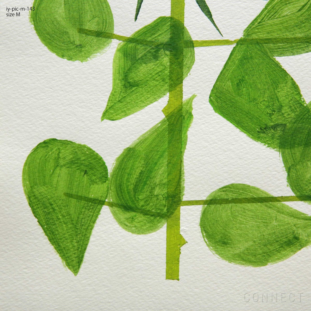 山口一郎 / Mサイズ / 五輪の花 / iy-pic-m-143