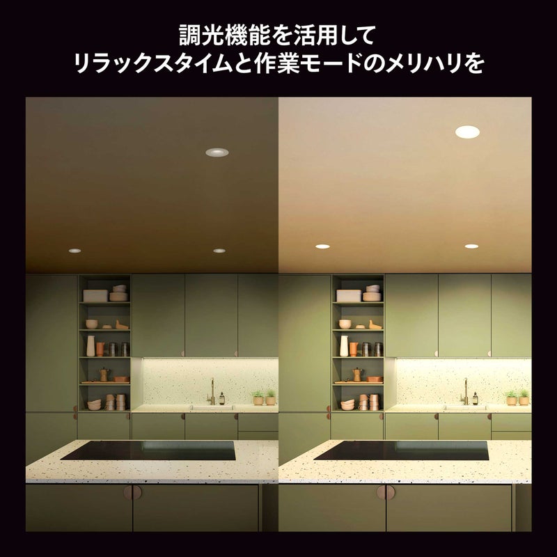 Philips Hue（フィリップスヒュー） / ホワイト E26 LED電球 75W形相当 PH75WH1-SU / スマート電球