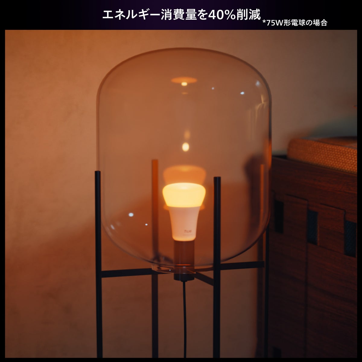 Philips Hue（フィリップスヒュー） / ホワイトグラデーションE26 LED電球 100W形相当 PH10WA1-SU / スマート電球