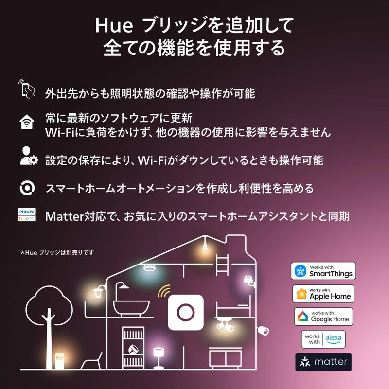Philips Hue（フィリップスヒュー） / ホワイトグラデーションE26 LED電球 100W形相当 PH10WA1-SU / スマート電球