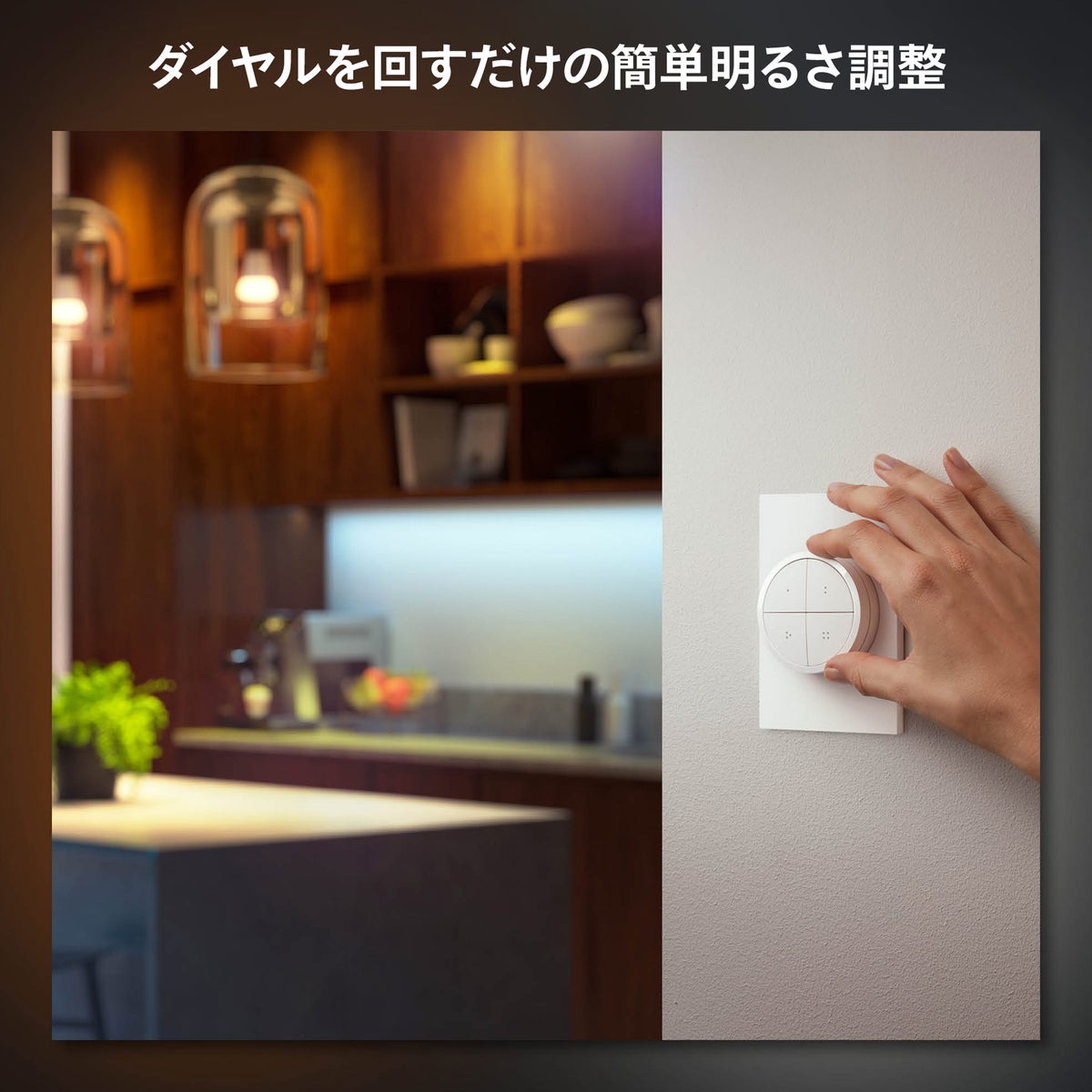 Philips Hue（フィリップスヒュー） / ダイヤルスイッチ / スマートリモコン / 人感センサー
