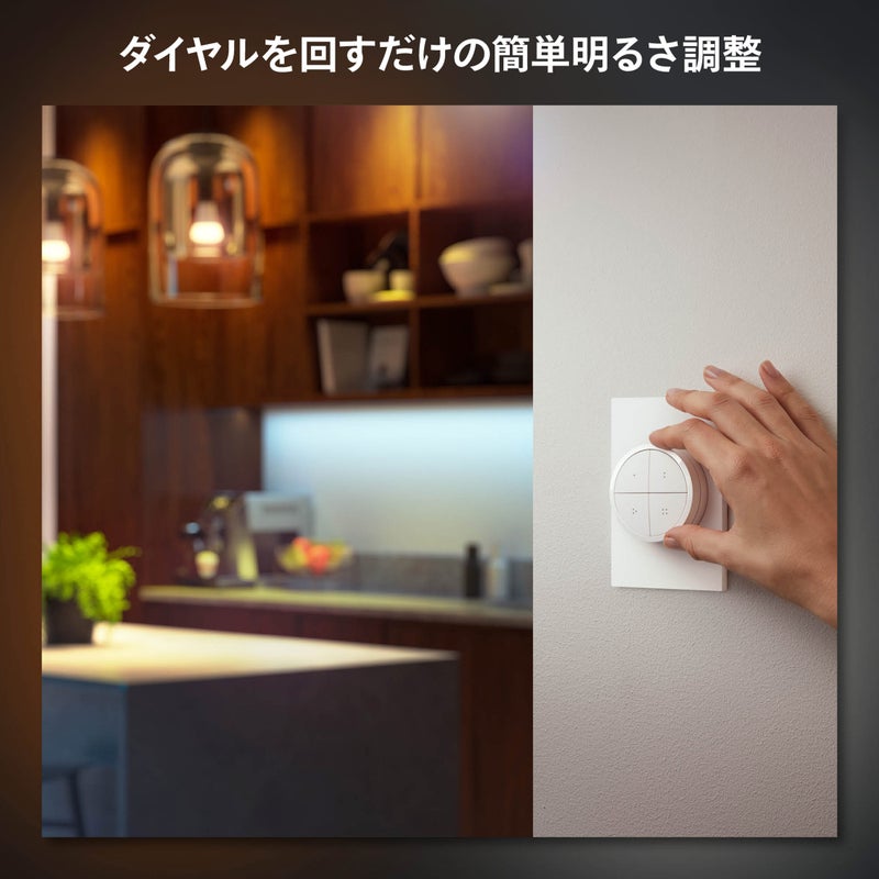 Philips Hue（フィリップスヒュー） / ダイヤルスイッチ / スマートリモコン / 人感センサー